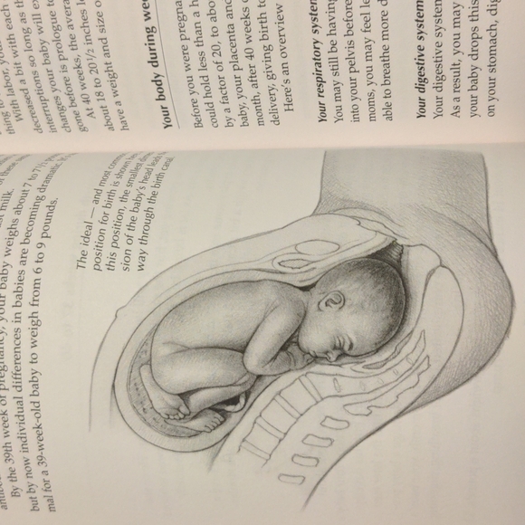 Mayo Clinic Guide To A Healthy Pregnancy. Book - Picture 8 of 8